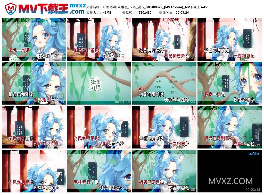 叶洛洛-细雨相思_国语_流行_MD400672